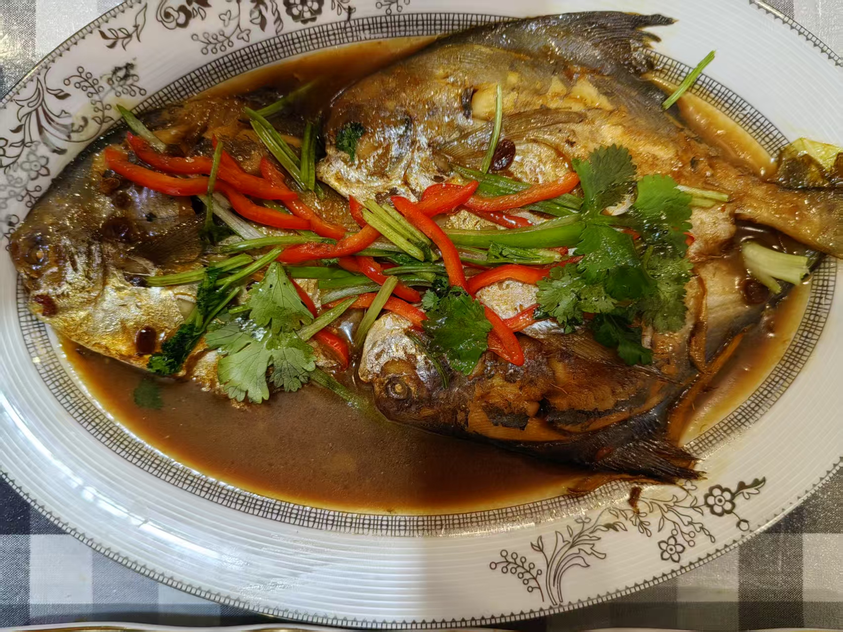 小白鲳